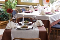 Samokov_Hotel – Borovets_Bulgaria 11