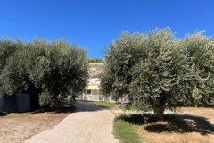 elia-vrahos-1-870x555