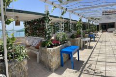 WhatsApp-Image-2022-11-18-at-13.33.41