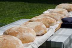 100570178_3463069940388673_5154279596392185856_o