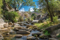 101001372_3463069507055383_6986592453948080128_o