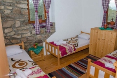 101014128_3463070667055267_7374093354105044992_n