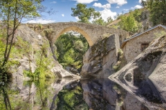 11230131_1135726216456402_4352637145349748406_o