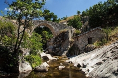 49864435_2411776425518035_3739330946034302976_n