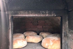 94864740_3386162584746076_5455499212072419328_o