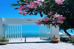 106987819_2347634535537950_2813468228553167092_n-600x270