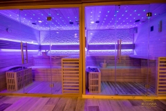 wellness_7