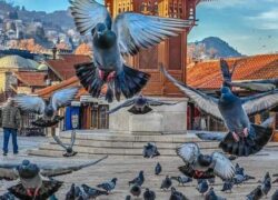 Сараево и Мостар за 8-ми Март