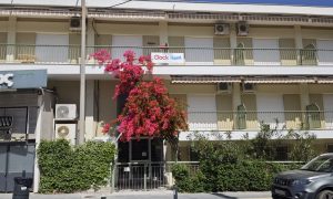 Студија Зинова – Пефкохори 2025 – НЕДЕЛА