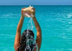 Студио “МИА 3-Неа Флогита 2026