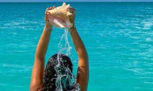 Студио “МИА 3-Неа Флогита 2026