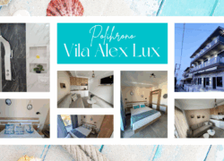 АЛЕКС ЛУКС POLIHRONO 2026